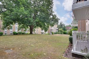 Communal Grounds- click for photo gallery